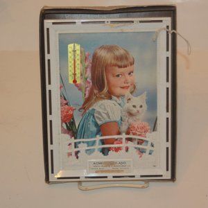 Vintage Acme Foodland Store Advertising Thermometer Picture Original Box